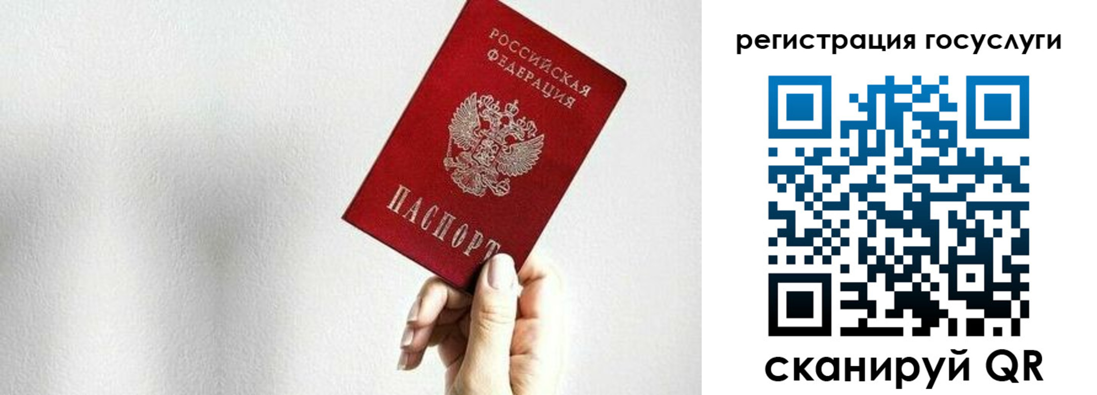 прописка гарантия в Советской Гавани